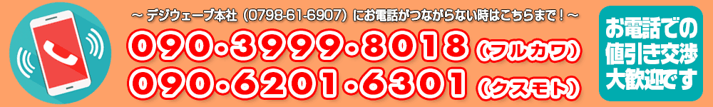 携帯連絡先 09039998018 09062016301