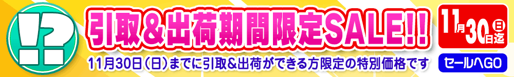 期間限定セール